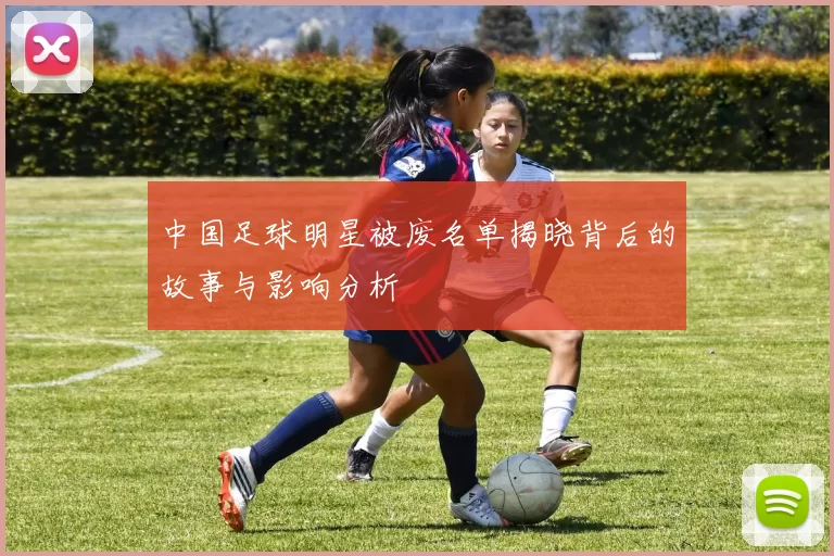 中国足球明星被废名单揭晓背后的故事与影响分析