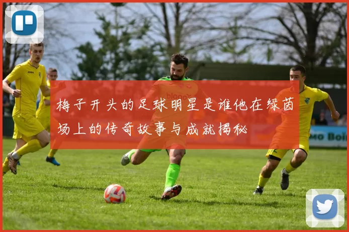 梅子开头的足球明星是谁他在绿茵场上的传奇故事与成就揭秘