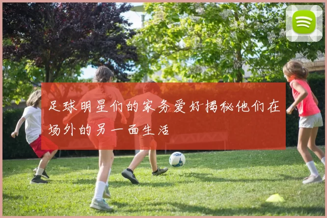 足球明星们的家务爱好揭秘他们在场外的另一面生活