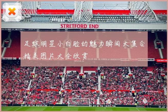 足球明星小白脸的魅力瞬间大集合精美图片大全欣赏