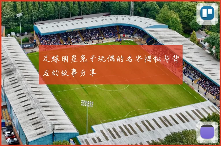 足球明星兔子玩偶的名字揭秘与背后的故事分享