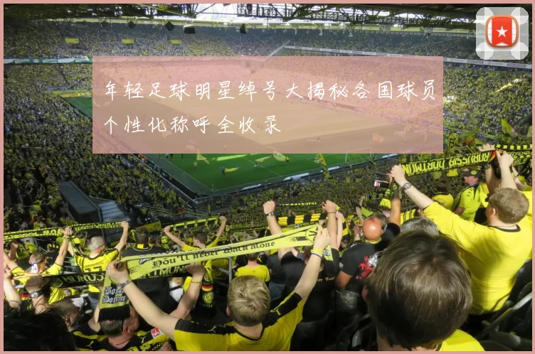 年轻足球明星绰号大揭秘各国球员个性化称呼全收录