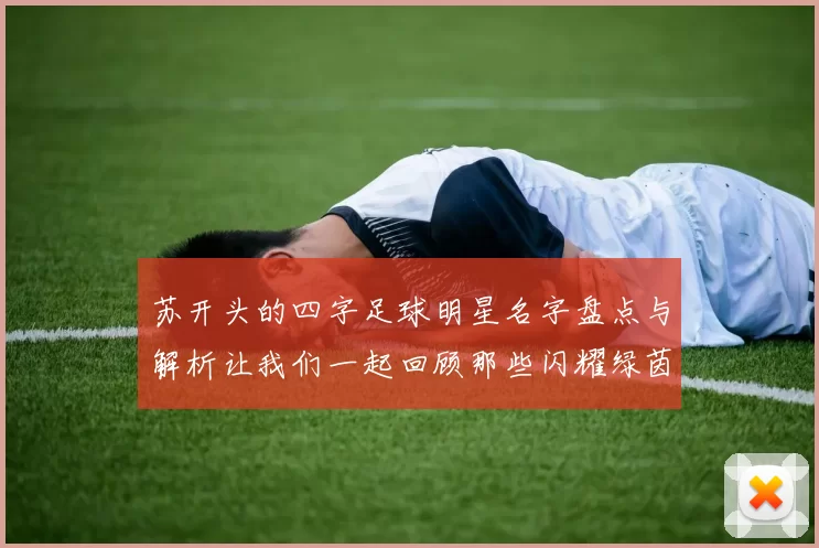 苏开头的四字足球明星名字盘点与解析让我们一起回顾那些闪耀绿茵场的传奇球员