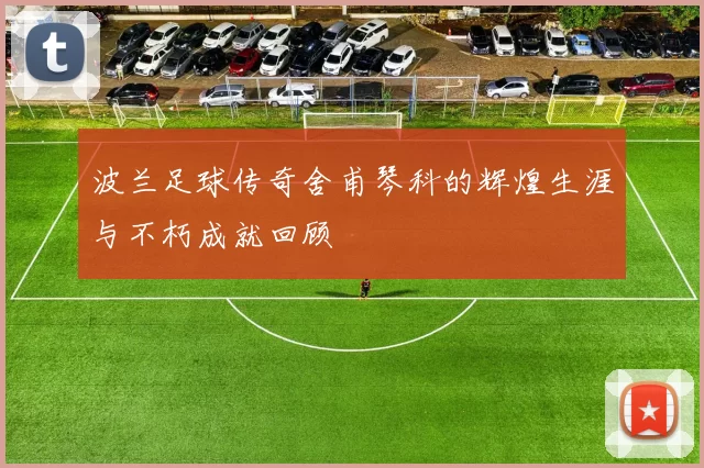 波兰足球传奇舍甫琴科的辉煌生涯与不朽成就回顾