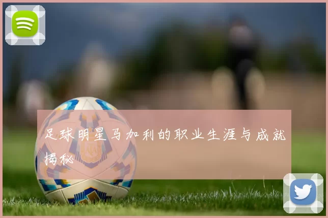 足球明星马加利的职业生涯与成就揭秘