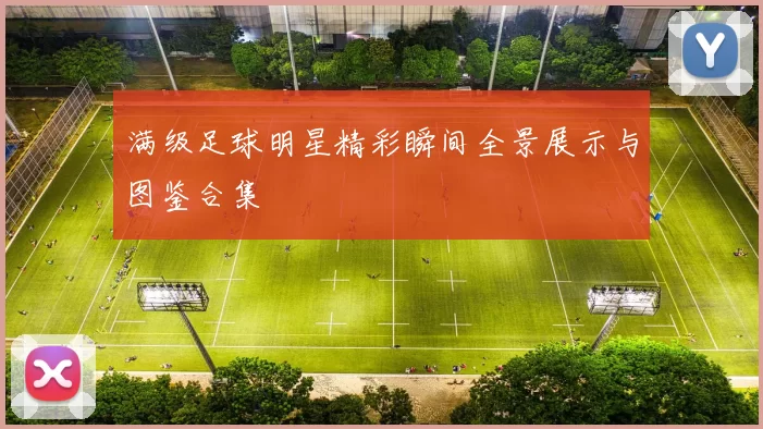 满级足球明星精彩瞬间全景展示与图鉴合集